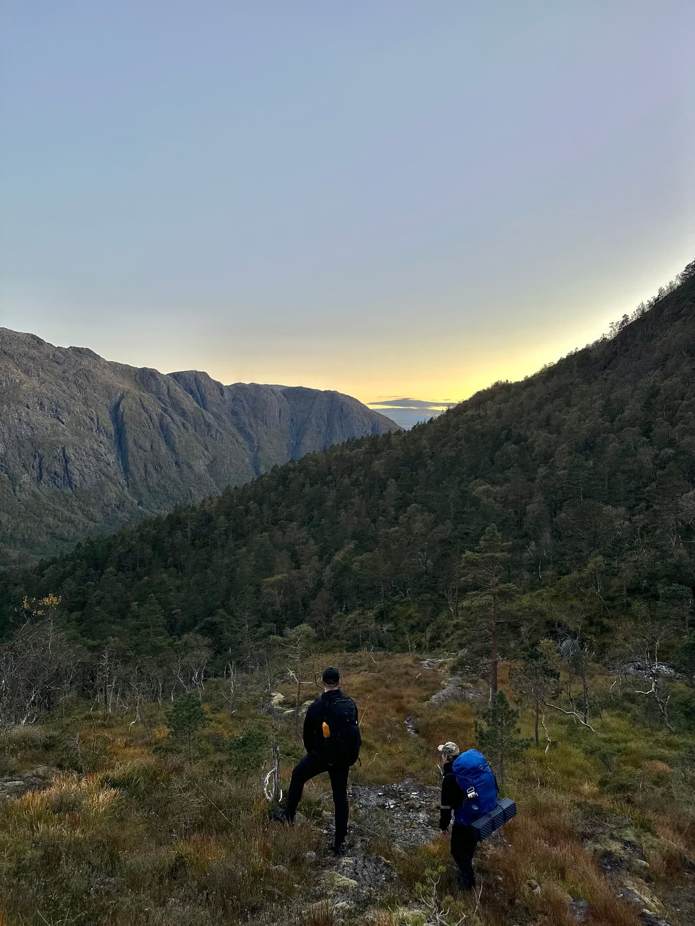 To turgåere med sekker på vei ned en lyngkledd fjellside mot en skogkledd dal i skumring